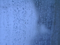 Regn mot rutan